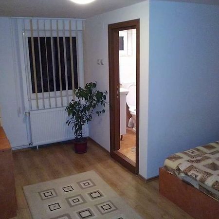 Casa Bradul Verde Bran (Brasov) Exterior foto