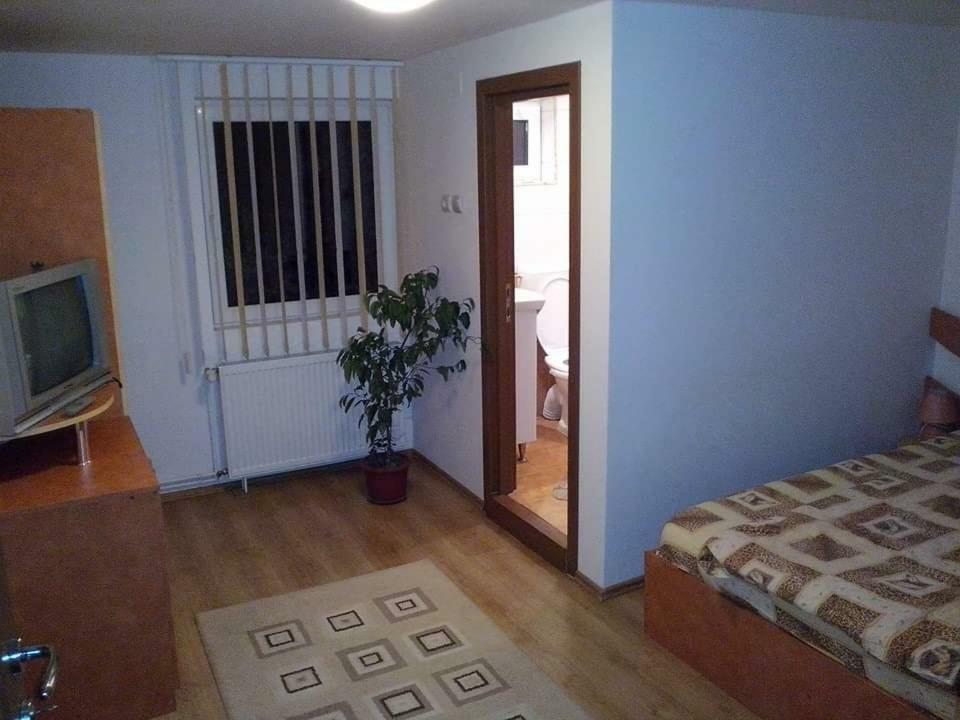 Casa Bradul Verde Bran (Brasov) Exterior foto