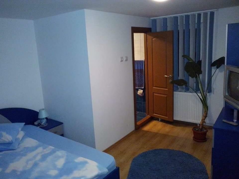 Casa Bradul Verde Bran (Brasov) Exterior foto