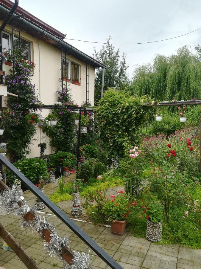 Casa Bradul Verde Bran (Brasov) Exterior foto
