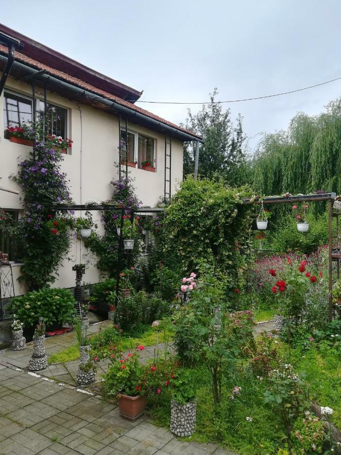 Casa Bradul Verde Bran (Brasov) Exterior foto