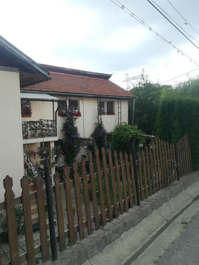 Casa Bradul Verde Bran (Brasov) Exterior foto