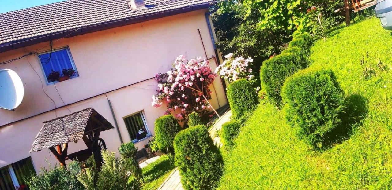 Casa Bradul Verde Bran (Brasov) Exterior foto