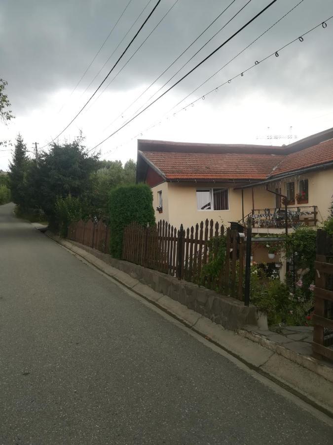 Casa Bradul Verde Bran (Brasov) Exterior foto